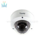 دوربین مداربسته IP تیاندی TC-NC24M