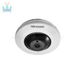 دوربین-مداربسته-آی-پی-هایک-ویژن-DS-2CD2955FWD-IS