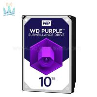 هارد دوربین مداربسته وسترن دیجیتال Purple WD100PURZ 10TB